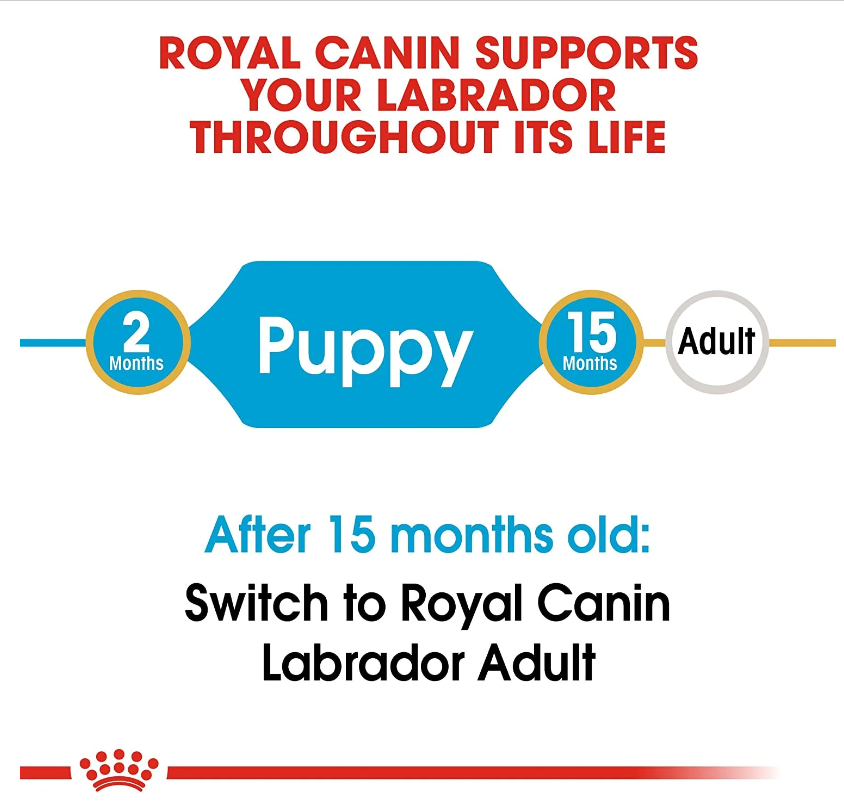 Royal Canin Labrador Retriever Puppy Dry Food