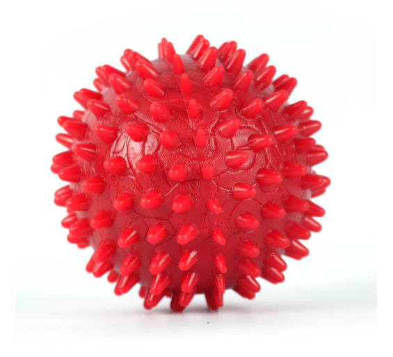 PetVogue 3.5" Spiky Squeaker Ball