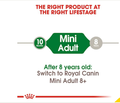 Royal Canin Mini Adult Dog Dry Food