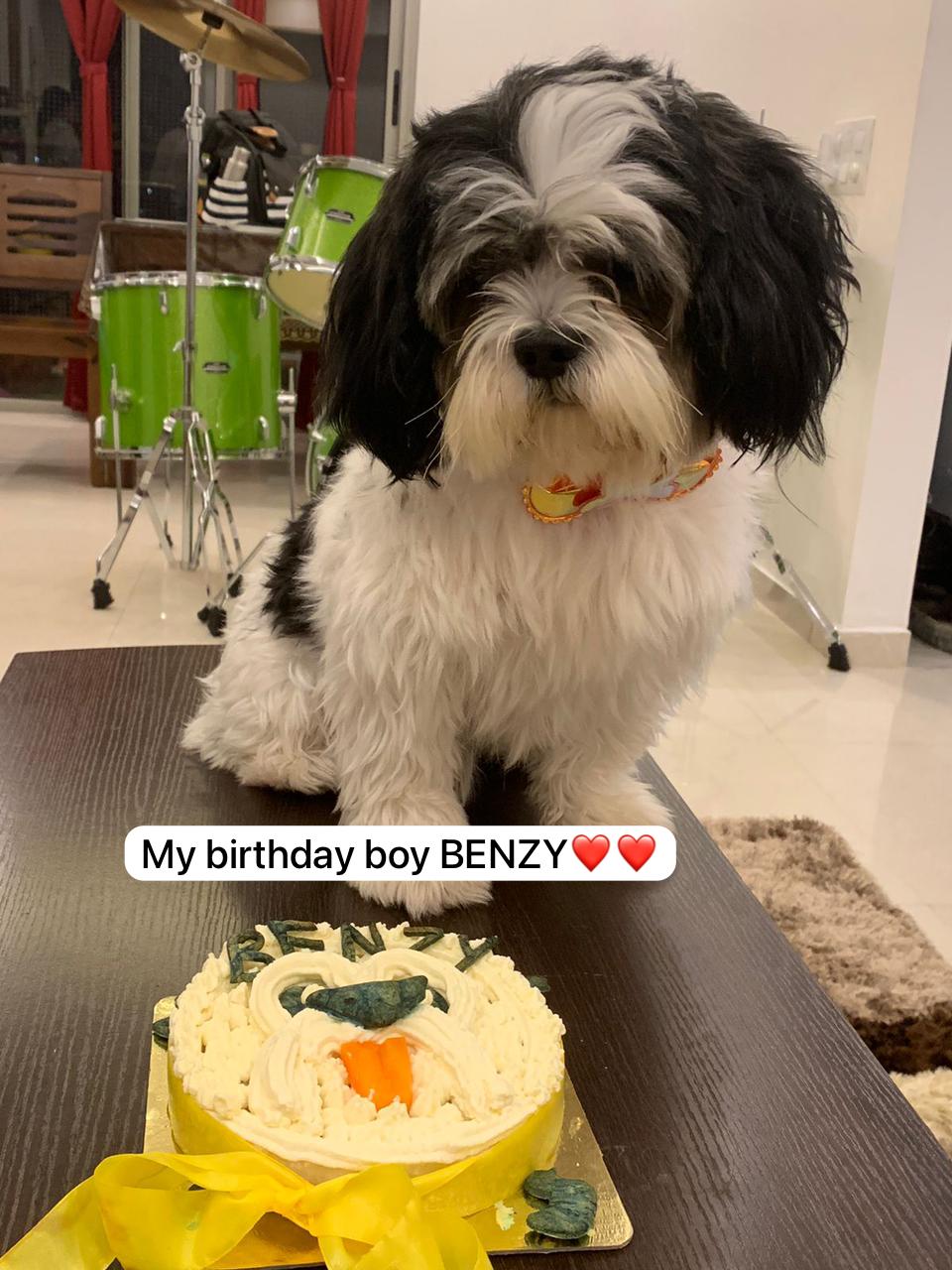 Shihtzu Face Customized Dog Cake