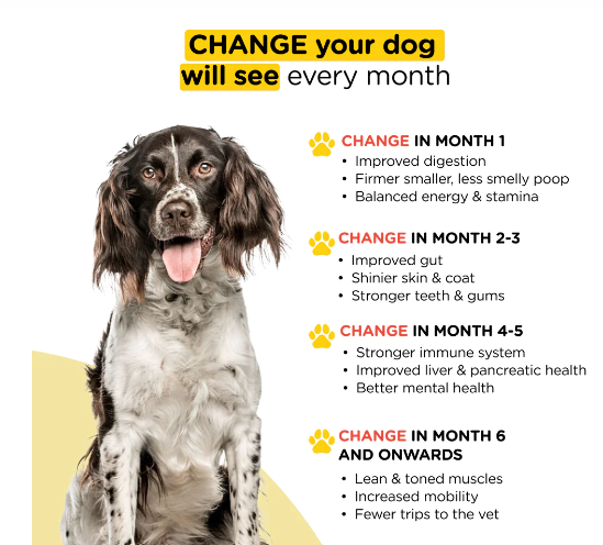 Henlo Baked Dry Food for Puppies | 100% human grade ingredients