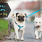 Pettrends Paw/Bone Printed Soft Nylon Body Belt Padded 1" and Leash with Adjustable Quick Release (Copy)