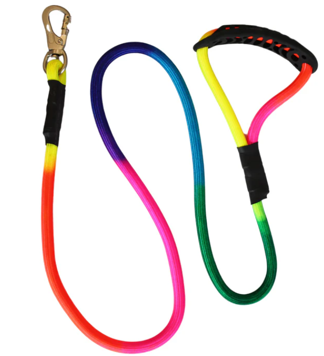 Pettrends Nylon Rainbow Color Leash 12mm with Strong Hook for Small and Medium dogs