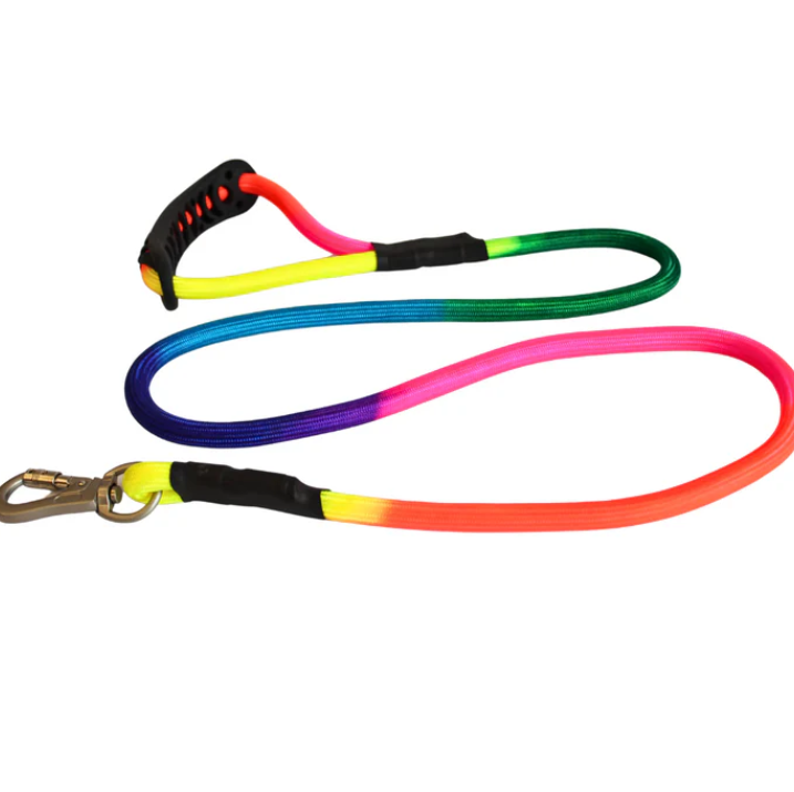 Pettrends Nylon Rainbow Color Leash 12mm with Strong Hook for Small and Medium dogs
