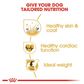 Royal Canin Golden Retriever Adult Dog Dry Food