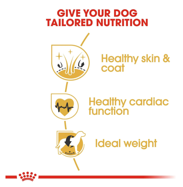 Royal Canin Golden Retriever Adult Dog Dry Food