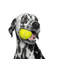 Goofy Tails Sport Tennis Ball Toy for Dogs