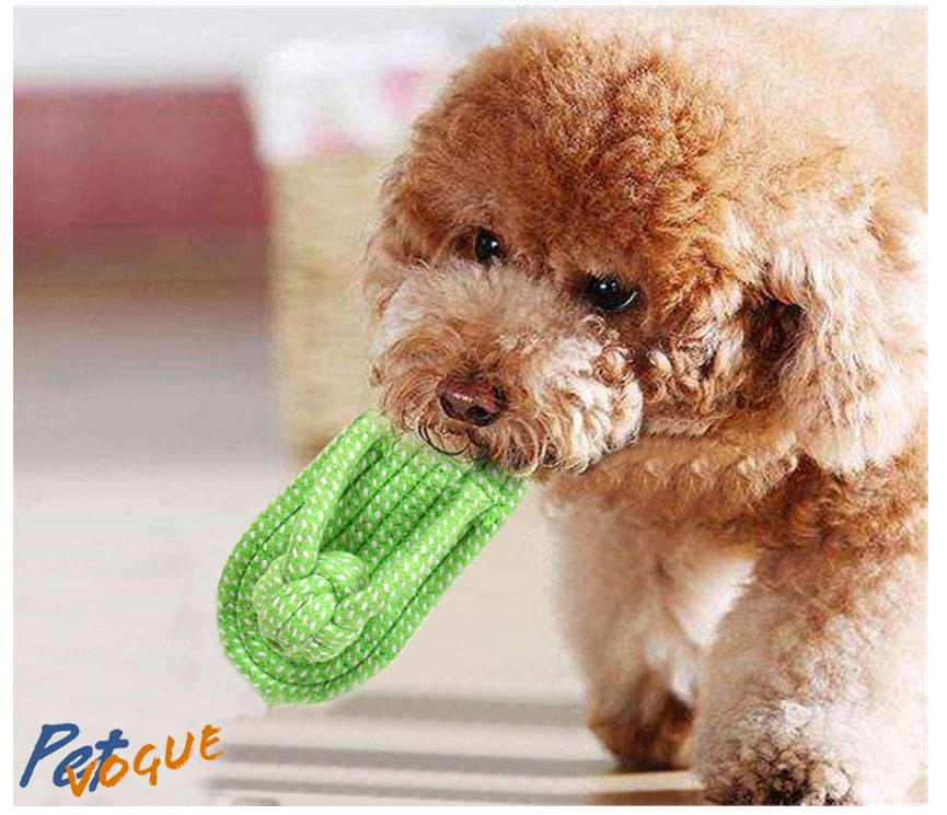 Pet Vogue Sandal Shaped Blue Rope Toy for Dogs