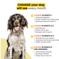 Henlo Baked Dry Food for Puppies | 100% human grade ingredients