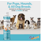 PetVogue Flea and Tick Dog Shampoo 200ml
